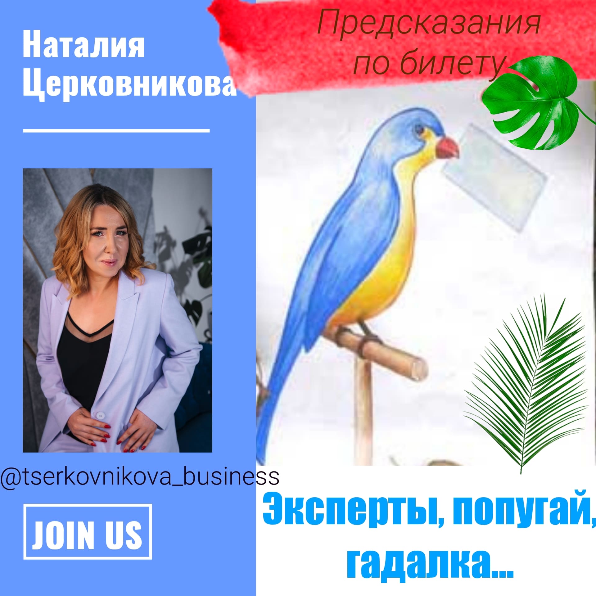 Эксперты, попугай, гадалка …